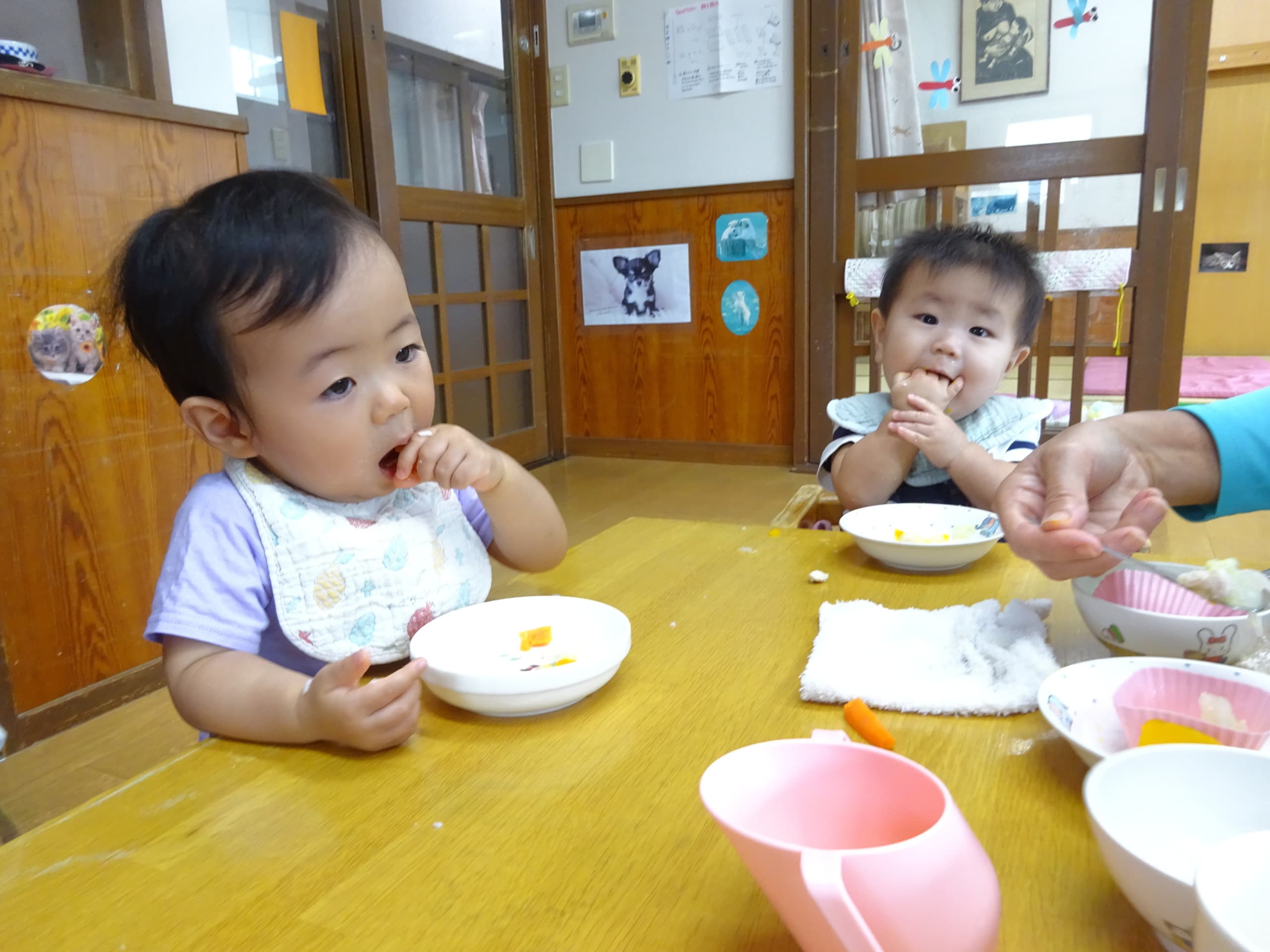 dsc07079.jpg